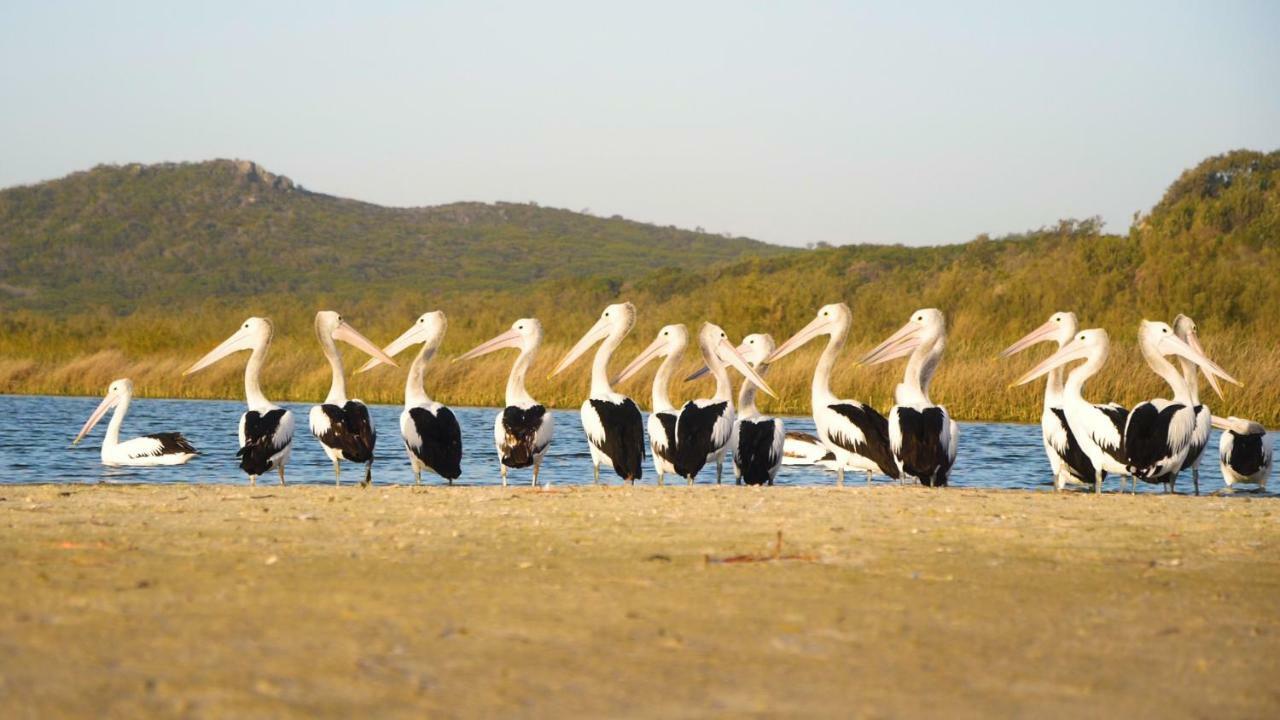 Castaways Moreton Island Bulwer Ngoại thất bức ảnh